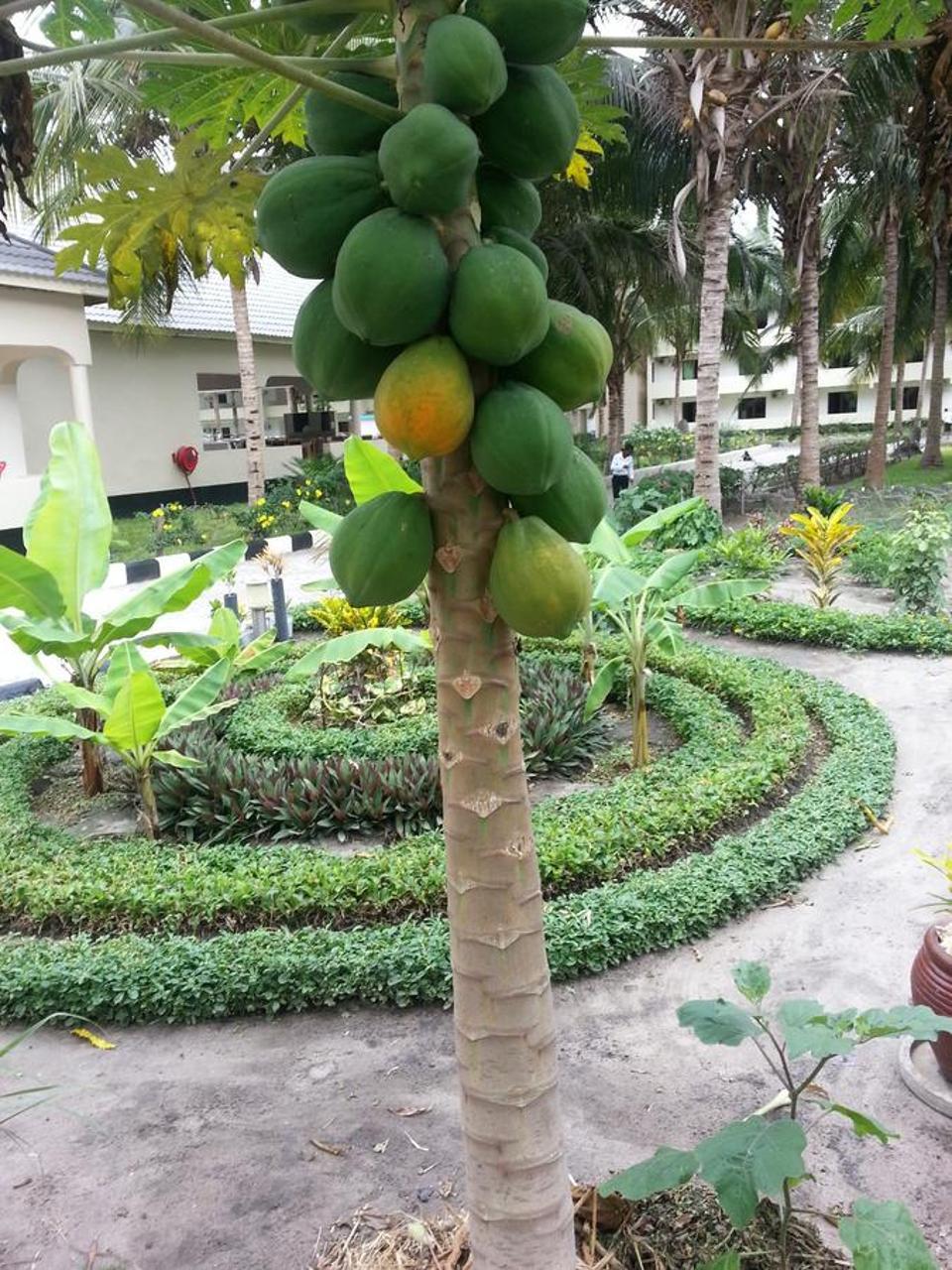 Oceanic Bay Hotel & Resort Bagamoyo Buitenkant foto