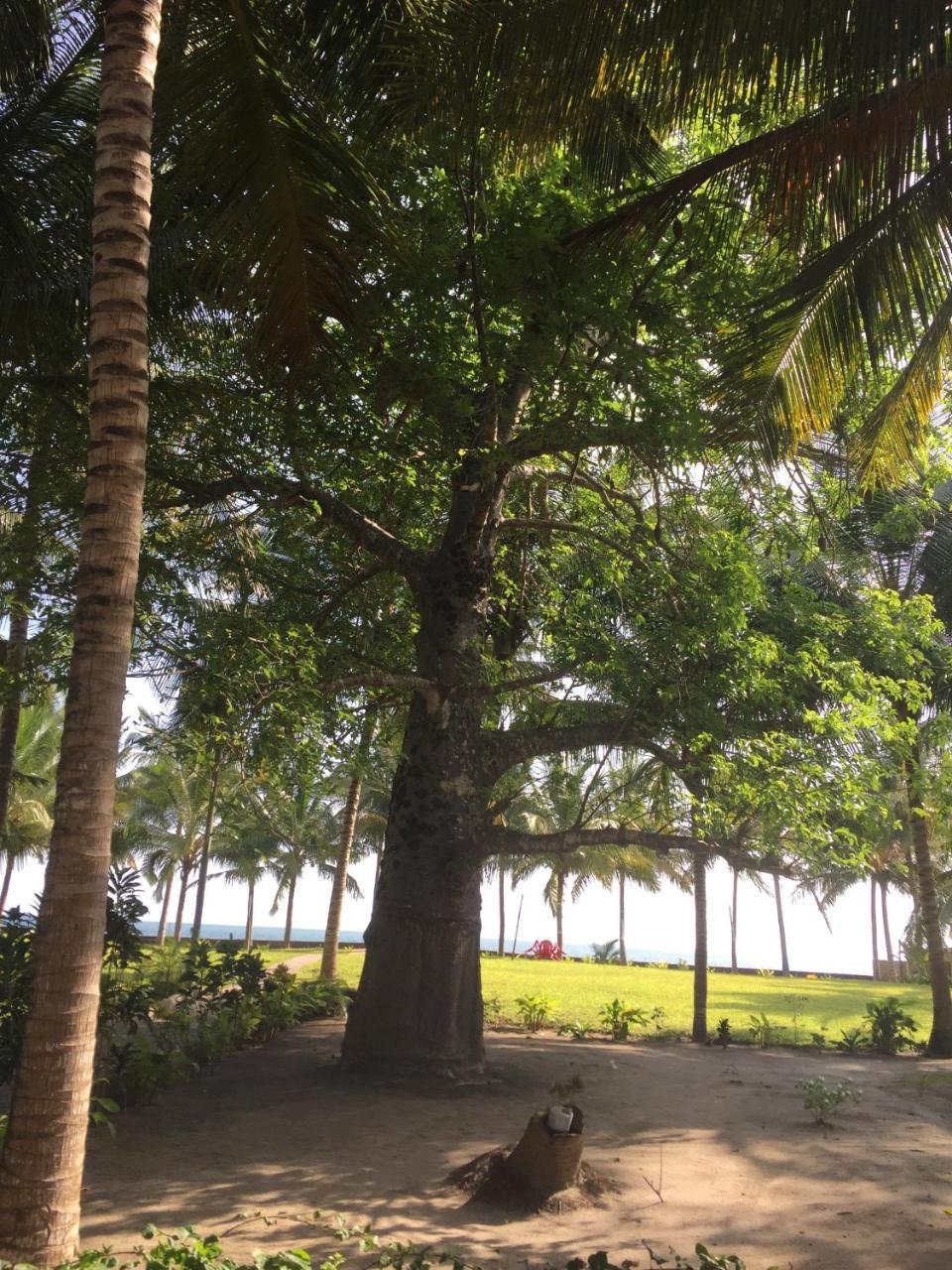 Oceanic Bay Hotel & Resort Bagamoyo Buitenkant foto